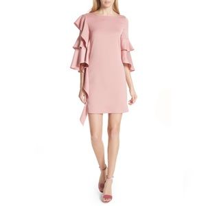 Ted Baker London Ruffle Tunic Dress